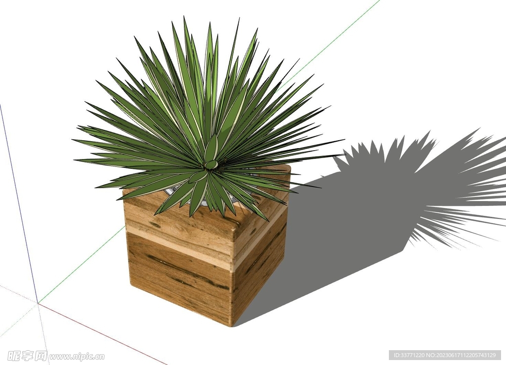 绿色植物模型