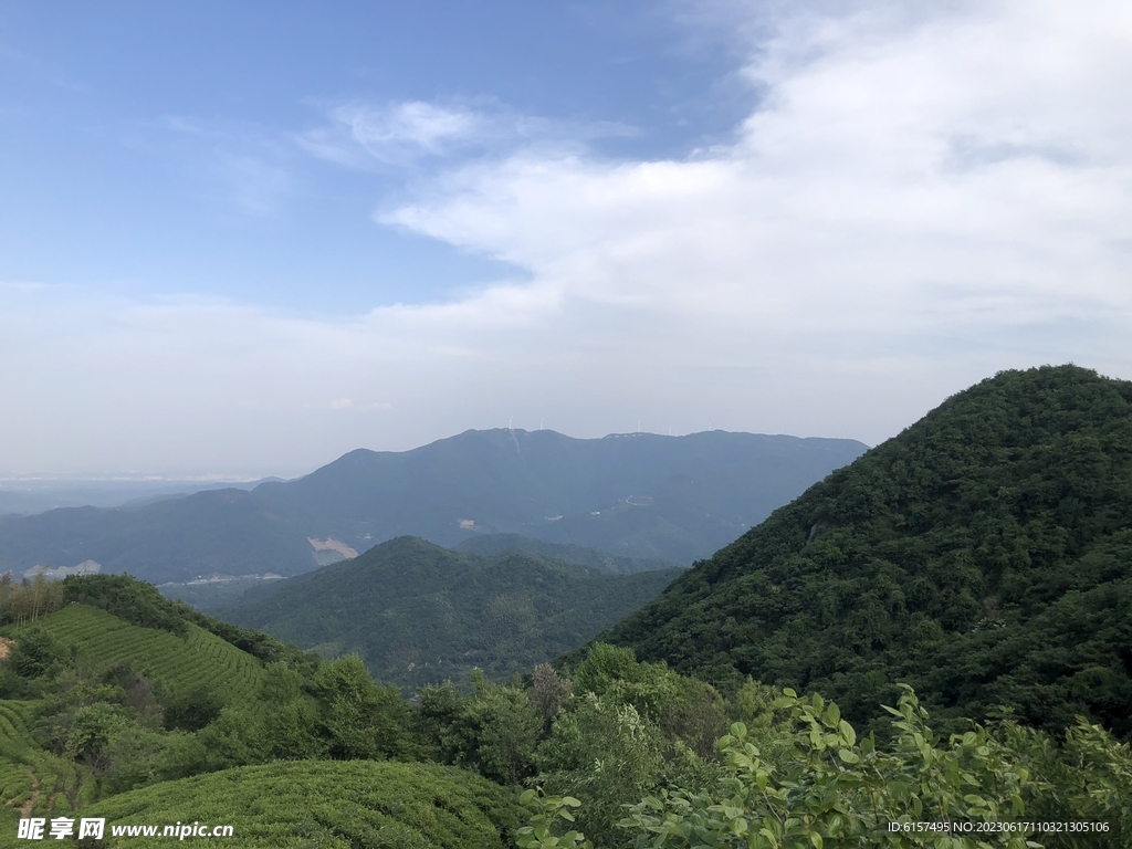 茶山