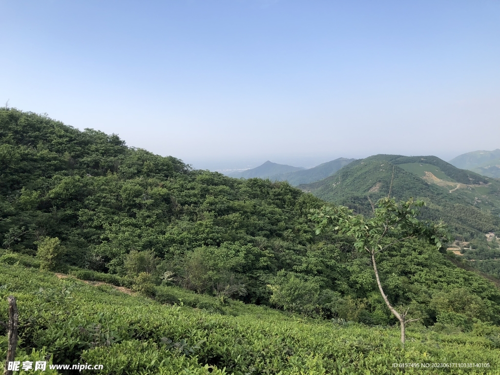 风景