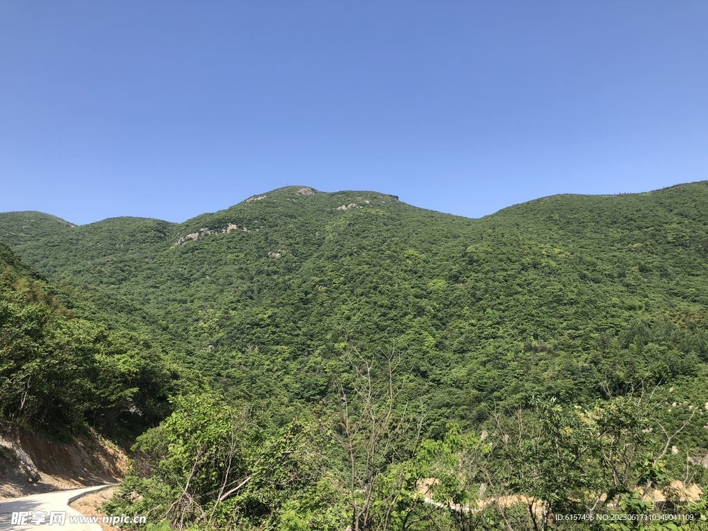 青山