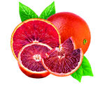 血橙素材 水果