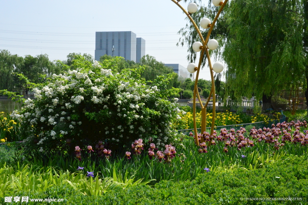 公园风景