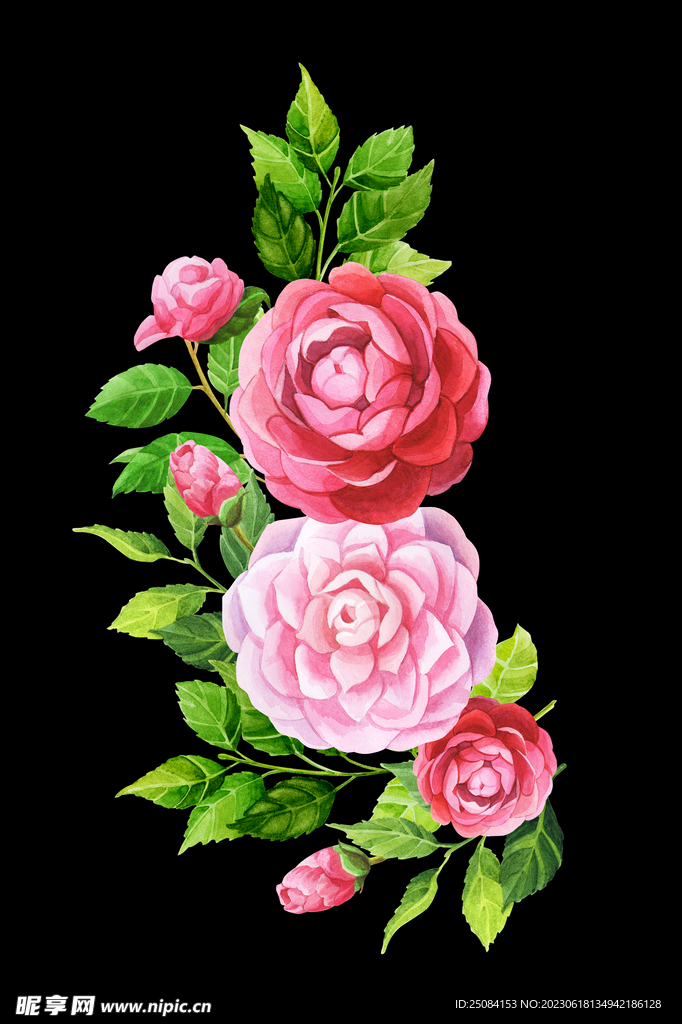 手绘花