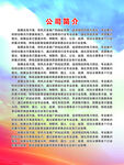 公司简介