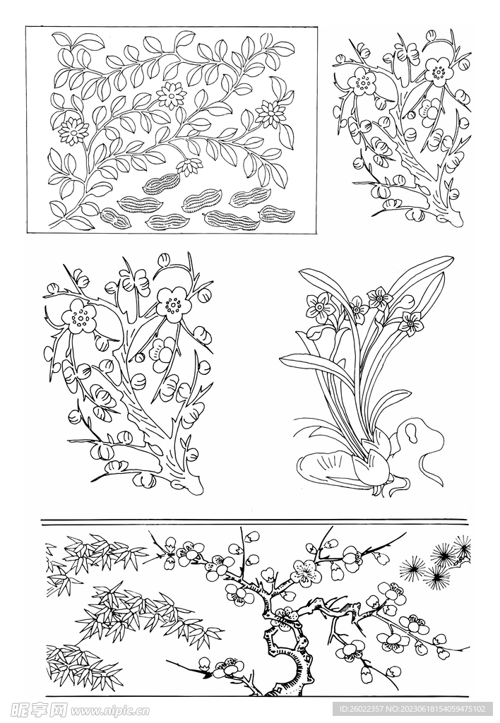 线描植物