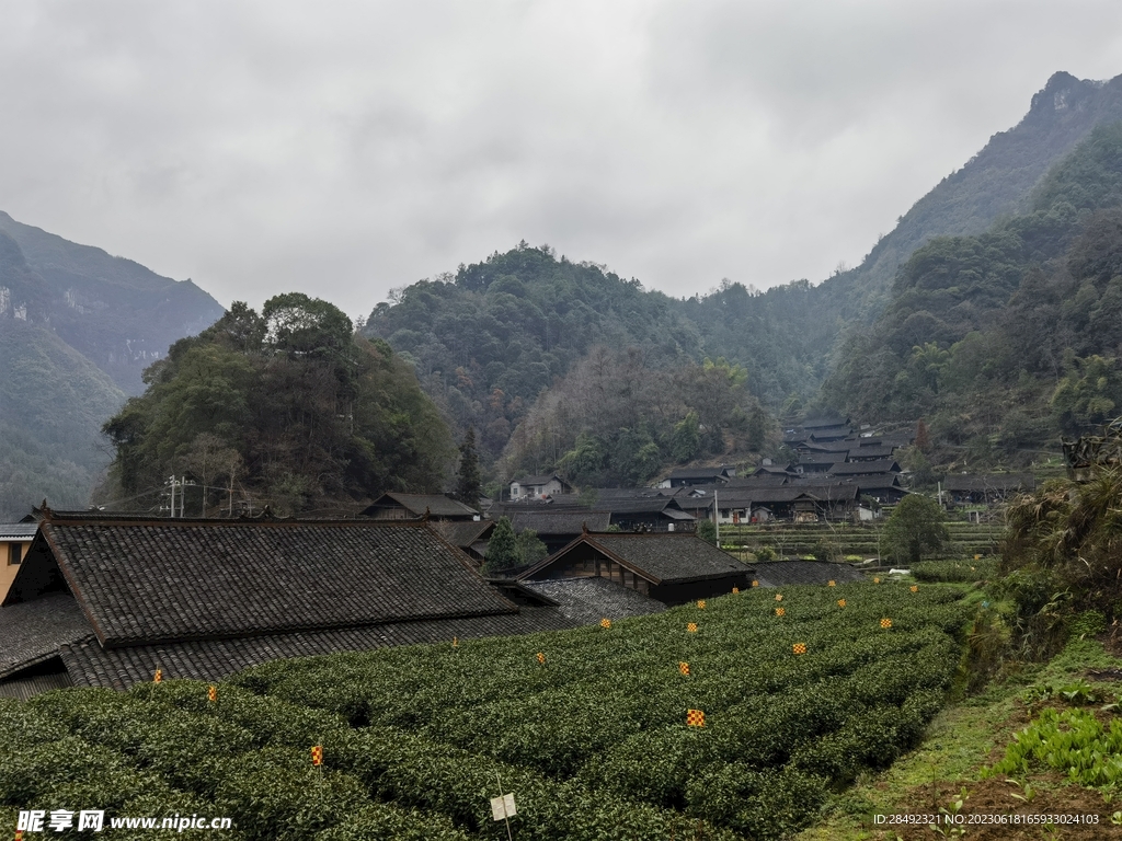 坪年苗寨