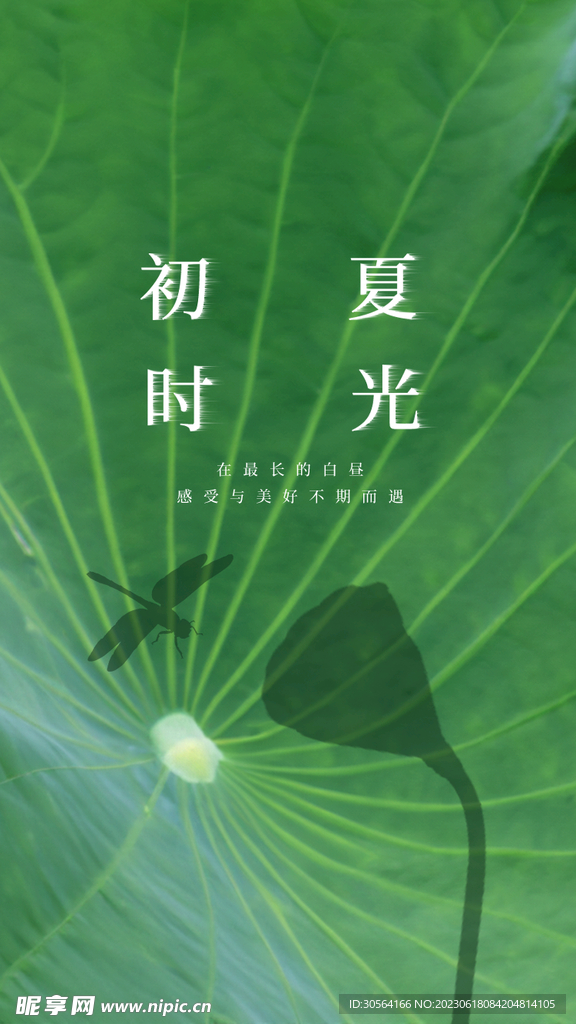 初夏