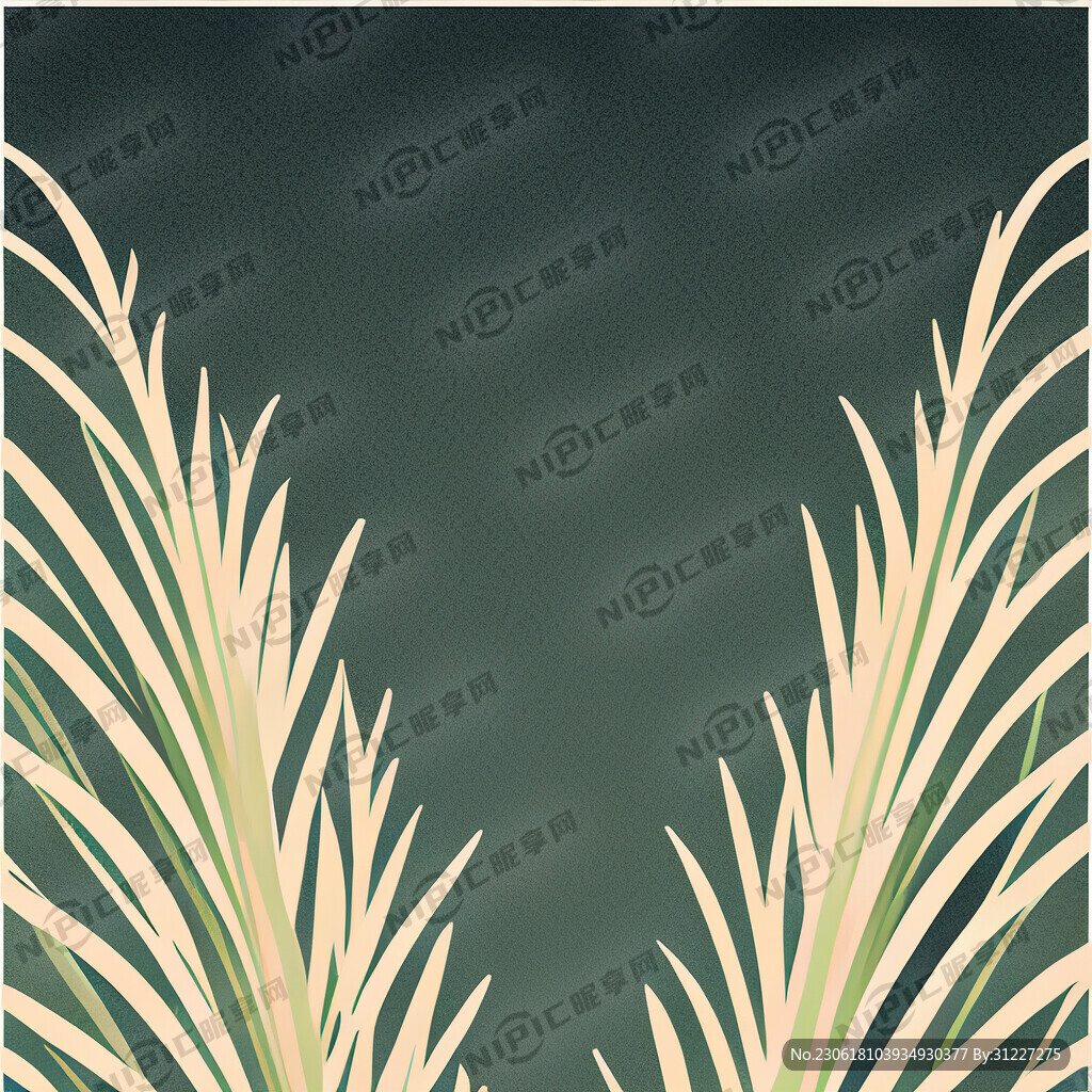 边框花草纹路精细简洁