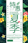 夏季特惠