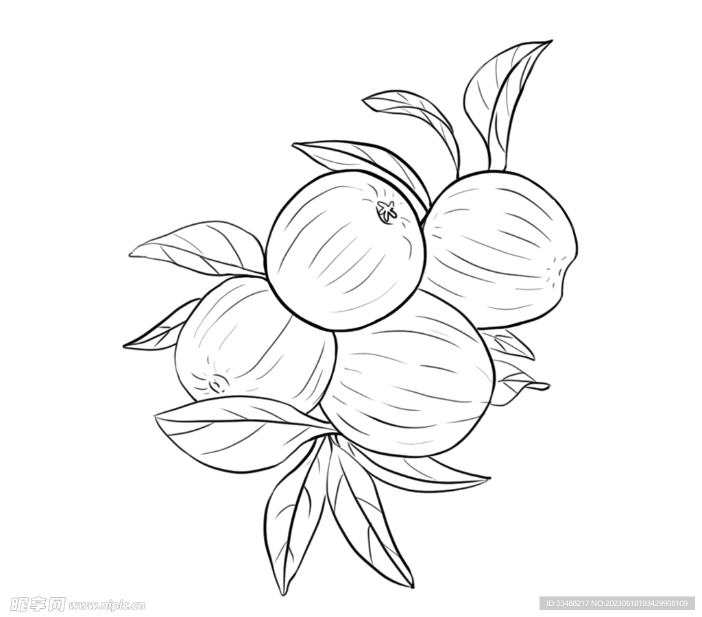 苹果