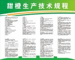 甜橙技术规程