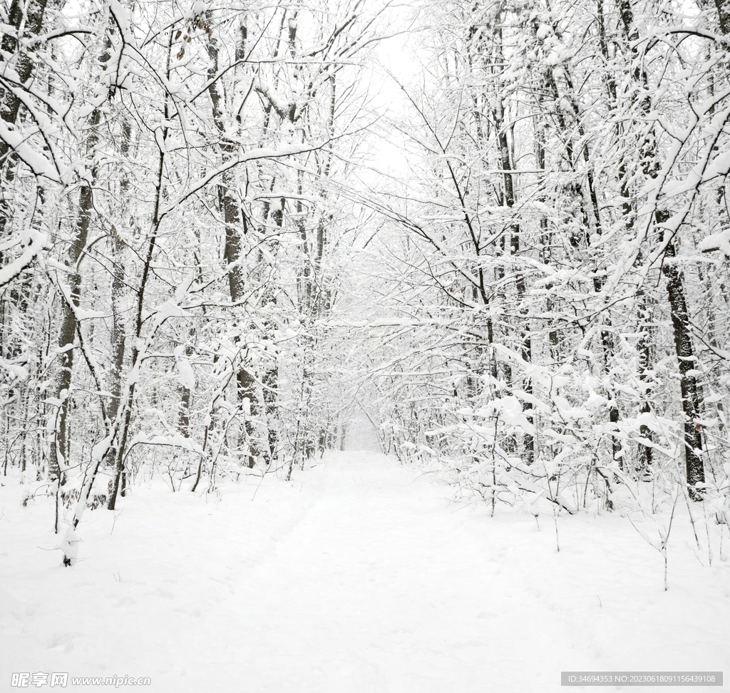 冬天雪景唯美