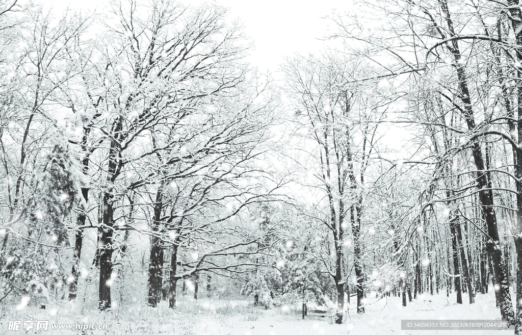 冬天雪景唯美
