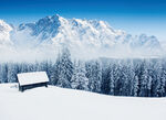 冬天大雪美景