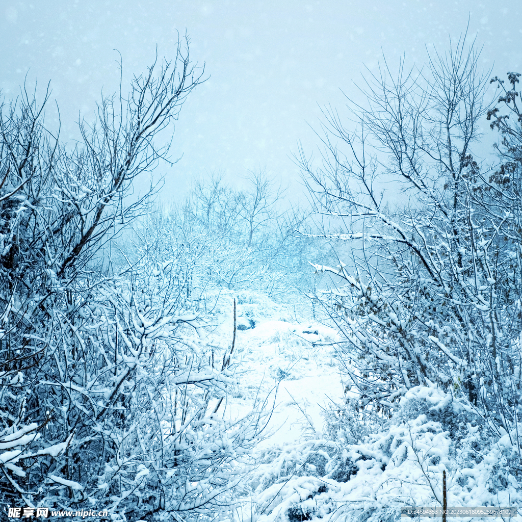 冬天雪景美景
