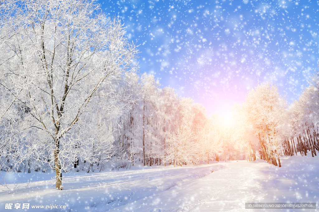 冬天雪景图片