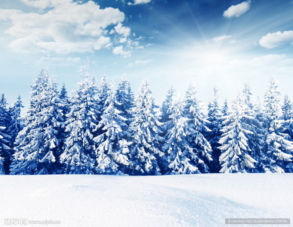 冬天雪景图片