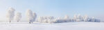 冬天雪景图片