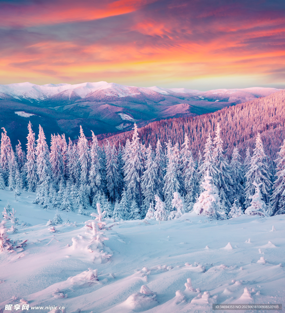 冬天雪景