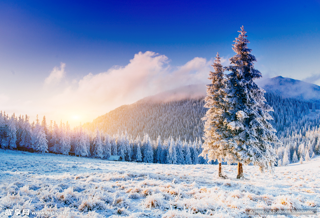 冬天雪景