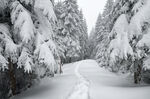 冬天大雪