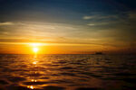 大海夕阳