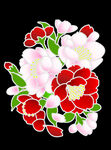 手绘花卉花朵