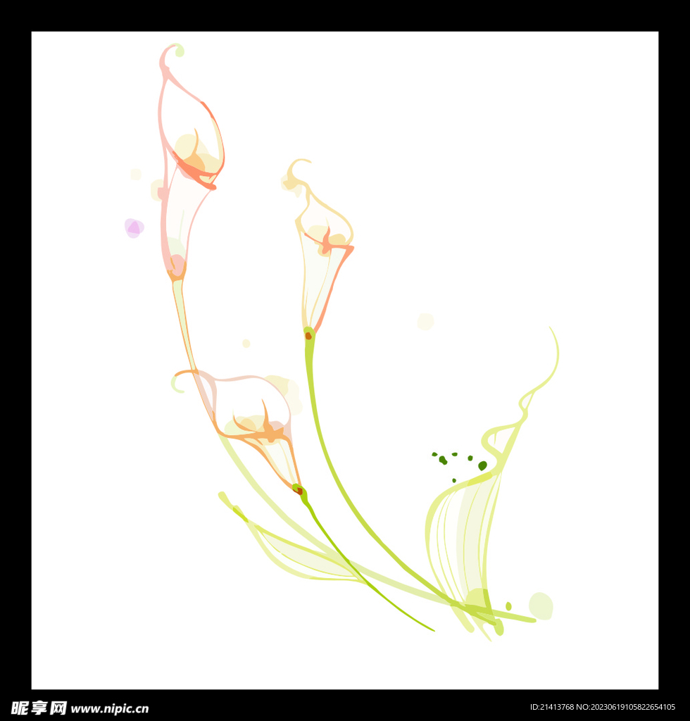 手绘花卉花朵