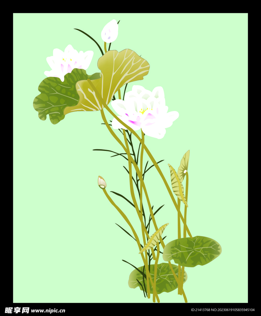 手绘花卉花朵