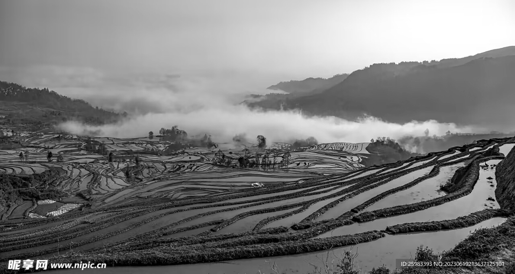 山区梯田