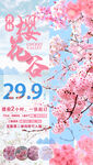 樱花谷旅游海报