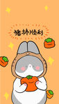 灰色的小兔子