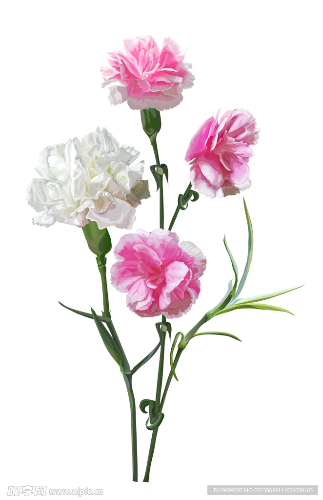 手绘花卉