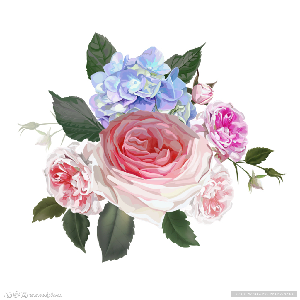 手绘花卉