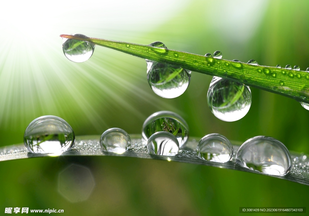 雨珠