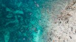 海边