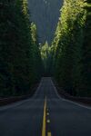 森林公路