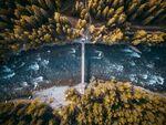 森林河流