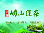 崂山绿茶