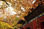 中国风建筑摄影