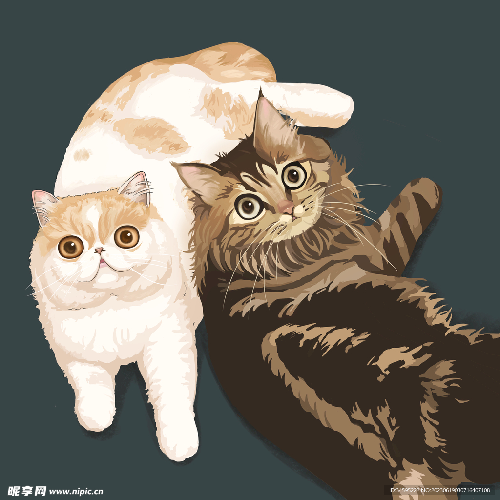 卡通手绘动物宠物猫