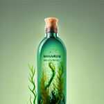 洗发水瓶贴，下部分有海藻，背景浅绿色渐变
