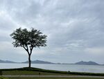 宁波东钱湖 