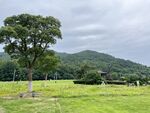 宁波东钱湖 