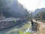 乐清黄檀硐森林康养基地