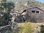 乐清黄檀硐森林康养基地