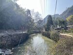 乐清黄檀硐森林康养基地