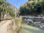 乐清黄檀硐森林康养基地 