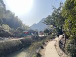 乐清黄檀硐森林康养基地