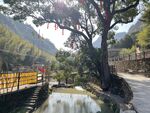 乐清黄檀硐森林康养基地